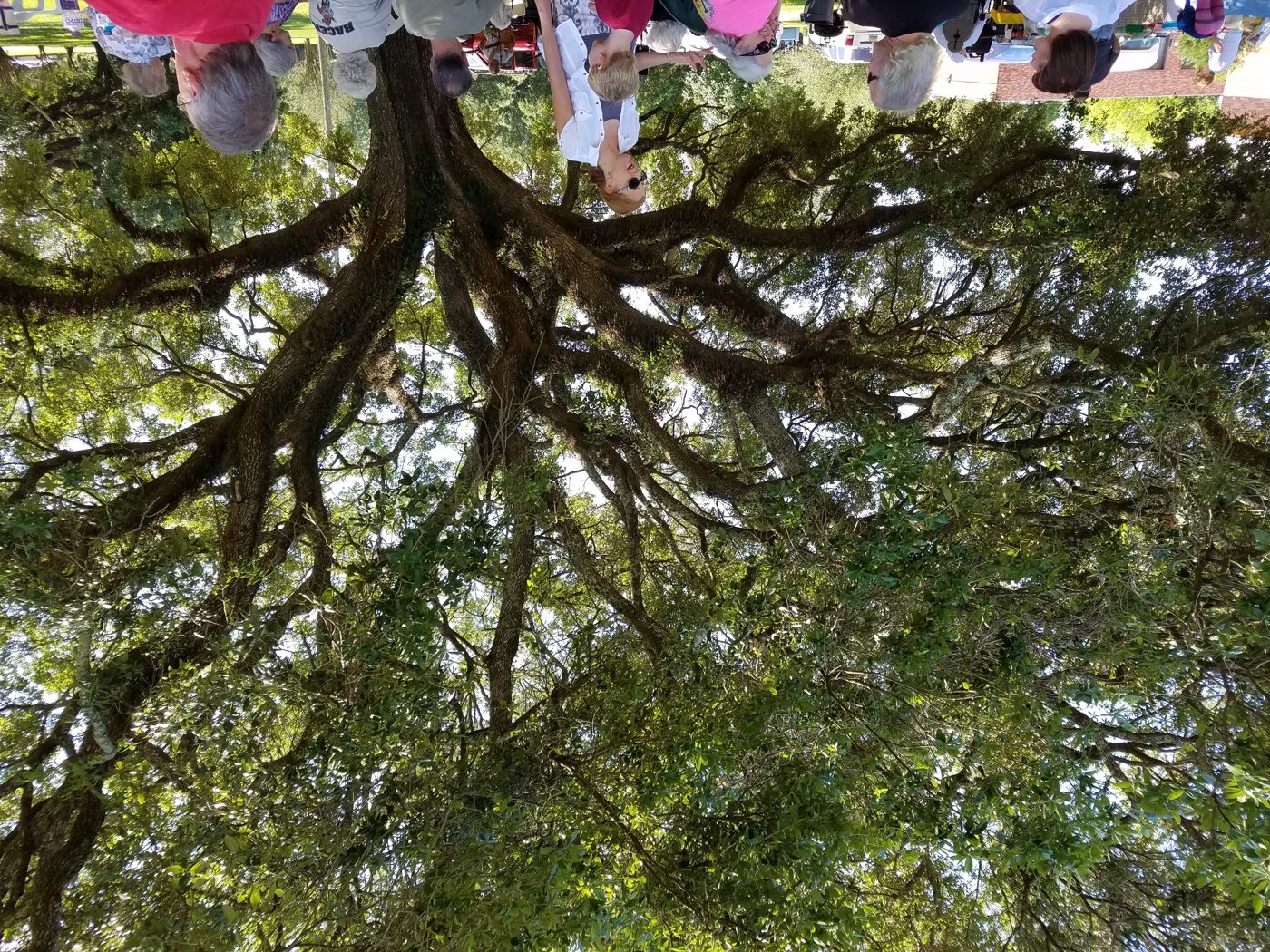 20170507_144225